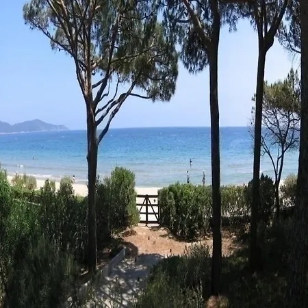فيلة Alleluia Sur La Plage *