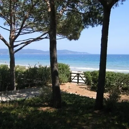 Alleluia Sur La Plage